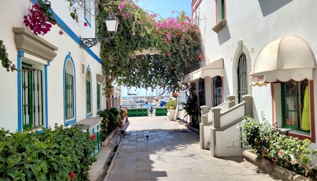 De Canarische minister van Financiën wijst de toeristenbelasting van Mogán indirect af