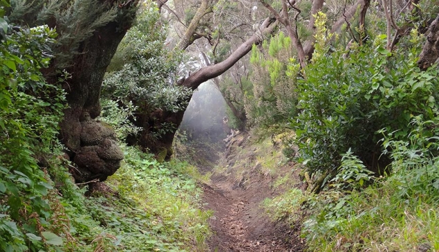 El Brezal Natuurreservaat