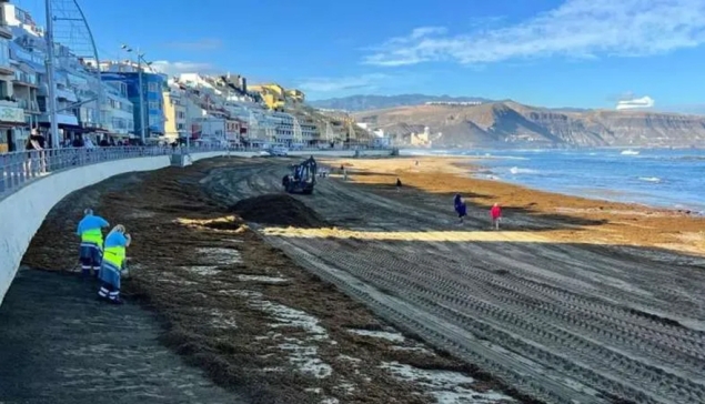 90.000 kilo zeewier verwijderd van de stranden van Las Palmas