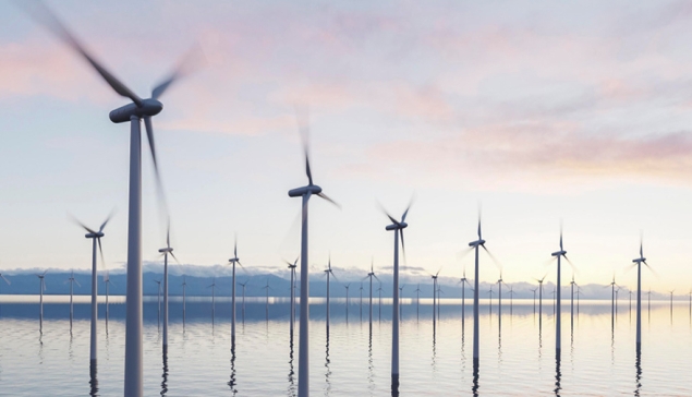 De wind die goud waard is: Zuid-Gran Canaria, het mariene windjuweel van de Atlantische Oceaan