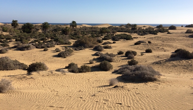 MET VIDEO: De duinen van Maspalomas worden nu ook door drones en de Guardia Civil bewaakt