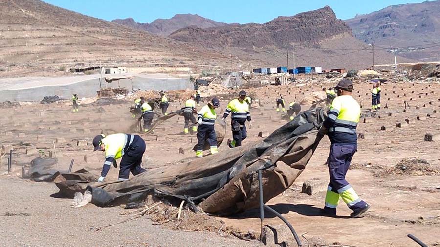 Het zuidoosten ruimt nog eens 61 hectare aan kassen op en zoekt nieuwe percelen